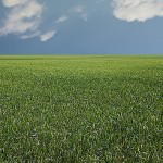 ミニマリスト的生活になる手っ取り早い方法