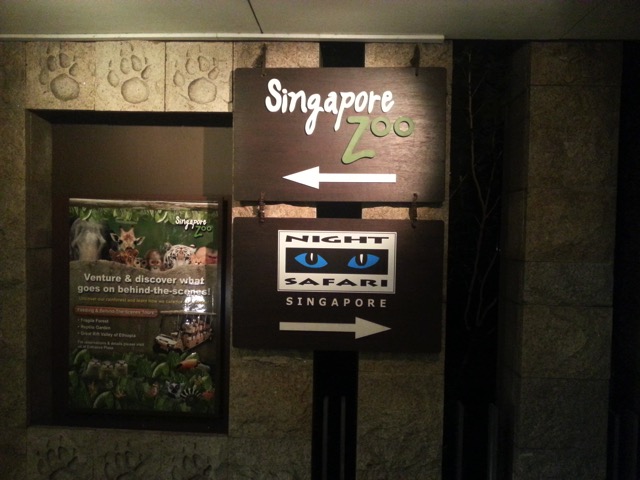150422 singapore night safari1