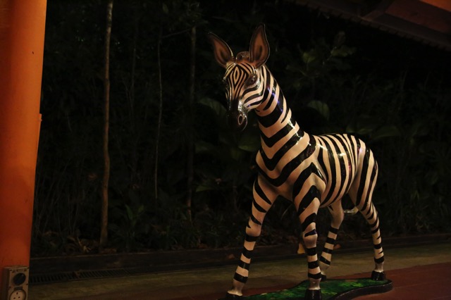 150422 singapore night safari12